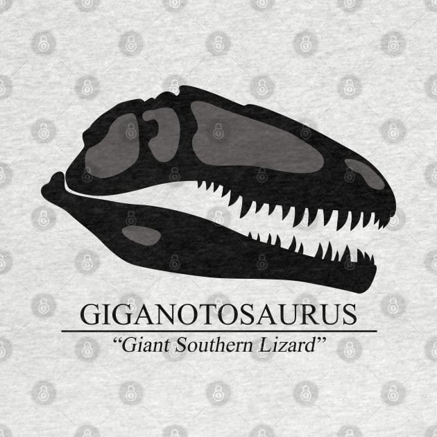 Giganotosaurus Skull by SakuraDragon